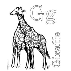 Disegno da colorare: Giraffa (Animali) #7316 - Pagine da Colorare Stampabili Gratuite