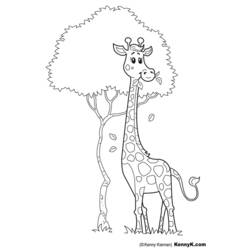 Disegno da colorare: Giraffa (Animali) #7329 - Pagine da Colorare Stampabili Gratuite