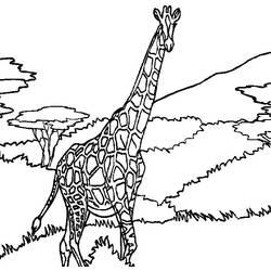 Disegno da colorare: Giraffa (Animali) #7330 - Pagine da Colorare Stampabili Gratuite