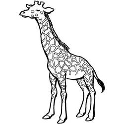 Disegno da colorare: Giraffa (Animali) #7334 - Pagine da Colorare Stampabili Gratuite
