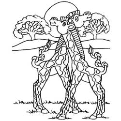 Disegno da colorare: Giraffa (Animali) #7344 - Pagine da Colorare Stampabili Gratuite