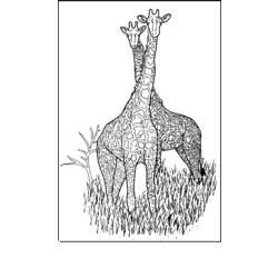 Disegno da colorare: Giraffa (Animali) #7365 - Pagine da Colorare Stampabili Gratuite