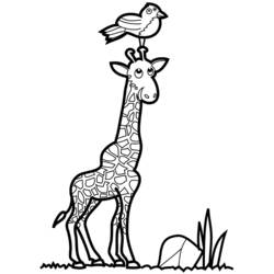 Disegno da colorare: Giraffa (Animali) #7370 - Pagine da Colorare Stampabili Gratuite