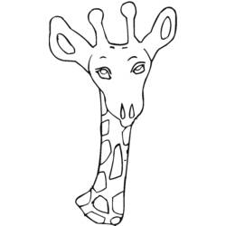 Disegno da colorare: Giraffa (Animali) #7375 - Pagine da Colorare Stampabili Gratuite