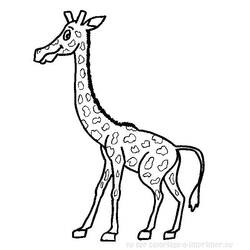 Disegno da colorare: Giraffa (Animali) #7386 - Pagine da Colorare Stampabili Gratuite