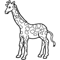 Disegno da colorare: Giraffa (Animali) #7387 - Pagine da Colorare Stampabili Gratuite