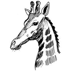 Disegno da colorare: Giraffa (Animali) #7389 - Pagine da Colorare Stampabili Gratuite