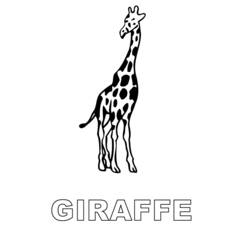 Disegno da colorare: Giraffa (Animali) #7398 - Pagine da Colorare Stampabili Gratuite