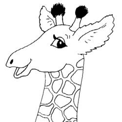 Disegno da colorare: Giraffa (Animali) #7412 - Pagine da Colorare Stampabili Gratuite