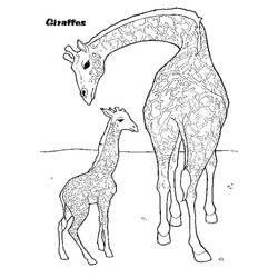 Disegno da colorare: Giraffa (Animali) #7413 - Pagine da Colorare Stampabili Gratuite