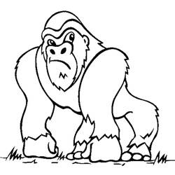Disegno da colorare: Gorilla (Animali) #7420 - Pagine da Colorare Stampabili Gratuite