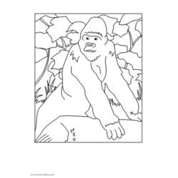 Disegno da colorare: Gorilla (Animali) #7451 - Pagine da Colorare Stampabili Gratuite