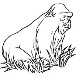 Disegno da colorare: Gorilla (Animali) #7459 - Pagine da Colorare Stampabili Gratuite
