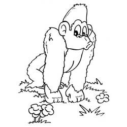 Disegno da colorare: Gorilla (Animali) #7460 - Pagine da Colorare Stampabili Gratuite