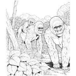 Disegno da colorare: Gorilla (Animali) #7464 - Pagine da Colorare Stampabili Gratuite
