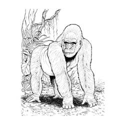 Disegno da colorare: Gorilla (Animali) #7467 - Pagine da Colorare Stampabili Gratuite