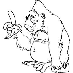 Disegno da colorare: Gorilla (Animali) #7482 - Pagine da Colorare Stampabili Gratuite