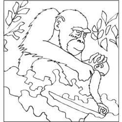 Disegno da colorare: Gorilla (Animali) #7498 - Pagine da Colorare Stampabili Gratuite