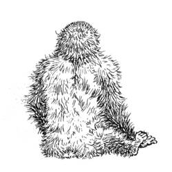 Disegno da colorare: Gorilla (Animali) #7507 - Pagine da Colorare Stampabili Gratuite