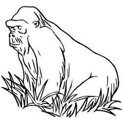 Disegno da colorare: Gorilla (Animali) #7514 - Pagine da Colorare Stampabili Gratuite