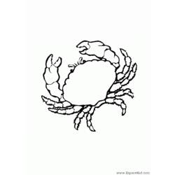 Disegno da colorare: Granchio (Animali) #4605 - Pagine da Colorare Stampabili Gratuite