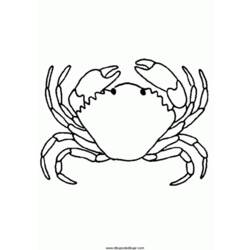 Disegno da colorare: Granchio (Animali) #4759 - Pagine da Colorare Stampabili Gratuite