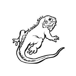 Disegno da colorare: iguana (Animali) #8910 - Pagine da Colorare Stampabili Gratuite
