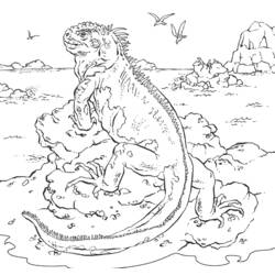 Disegno da colorare: iguana (Animali) #8913 - Pagine da Colorare Stampabili Gratuite