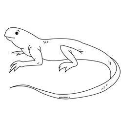 Disegno da colorare: iguana (Animali) #8917 - Pagine da Colorare Stampabili Gratuite