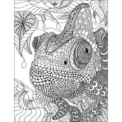 Disegno da colorare: iguana (Animali) #8923 - Pagine da Colorare Stampabili Gratuite