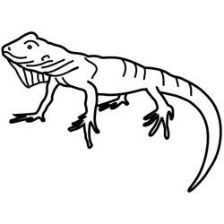 Disegno da colorare: iguana (Animali) #8944 - Pagine da Colorare Stampabili Gratuite
