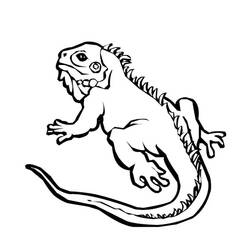 Disegno da colorare: iguana (Animali) #8948 - Pagine da Colorare Stampabili Gratuite