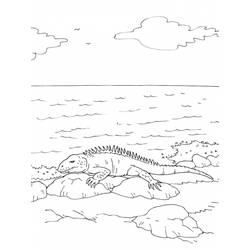 Disegno da colorare: iguana (Animali) #8949 - Pagine da Colorare Stampabili Gratuite