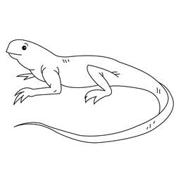 Disegno da colorare: iguana (Animali) #8951 - Pagine da Colorare Stampabili Gratuite