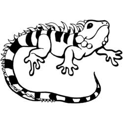 Disegno da colorare: iguana (Animali) #8959 - Pagine da Colorare Stampabili Gratuite