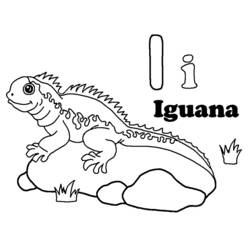 Disegne da colorare: iguana - Pagine da Colorare Stampabili Gratuite