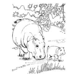 Disegno da colorare: Ippopotamo (Animali) #8611 - Pagine da Colorare Stampabili Gratuite