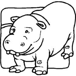 Disegno da colorare: Ippopotamo (Animali) #8682 - Pagine da Colorare Stampabili Gratuite