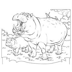 Disegno da colorare: Ippopotamo (Animali) #8690 - Pagine da Colorare Stampabili Gratuite