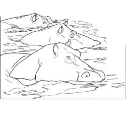 Disegno da colorare: Ippopotamo (Animali) #8727 - Pagine da Colorare Stampabili Gratuite