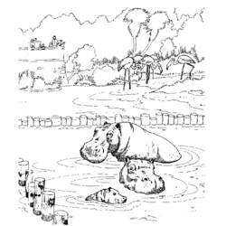 Disegno da colorare: Ippopotamo (Animali) #8737 - Pagine da Colorare Stampabili Gratuite