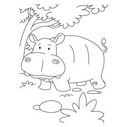 Disegno da colorare: Ippopotamo (Animali) #8738 - Pagine da Colorare Stampabili Gratuite
