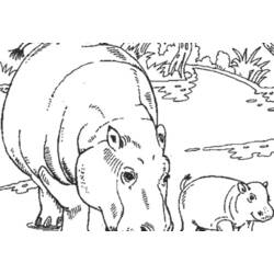 Disegno da colorare: Ippopotamo (Animali) #8769 - Pagine da Colorare Stampabili Gratuite