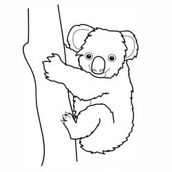 Disegno da colorare: Koala (Animali) #9300 - Pagine da Colorare Stampabili Gratuite