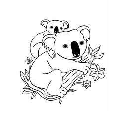 Disegno da colorare: Koala (Animali) #9302 - Pagine da Colorare Stampabili Gratuite