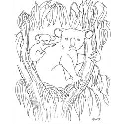 Disegno da colorare: Koala (Animali) #9310 - Pagine da Colorare Stampabili Gratuite