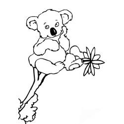 Disegno da colorare: Koala (Animali) #9325 - Pagine da Colorare Stampabili Gratuite