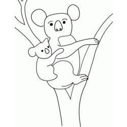 Disegno da colorare: Koala (Animali) #9326 - Pagine da Colorare Stampabili Gratuite
