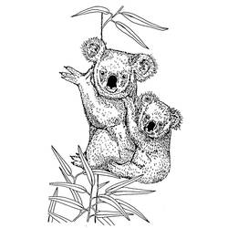 Disegno da colorare: Koala (Animali) #9327 - Pagine da Colorare Stampabili Gratuite