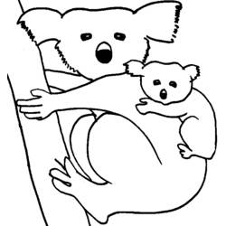 Disegno da colorare: Koala (Animali) #9334 - Pagine da Colorare Stampabili Gratuite